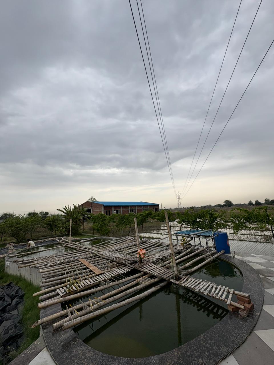 Oyster Ponds at Nova Pearl Farm
